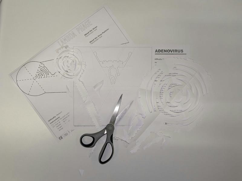 The twelve viruses of Christmas, and how to make your own – out of paper