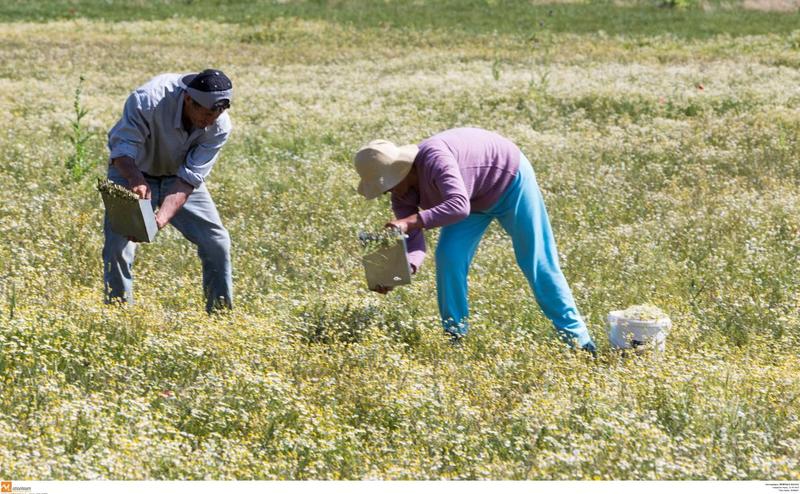 Προϋπολογισμός φτώχειας και εγκατάλειψης της υπαίθρου στην Κεντρική Μακεδονία