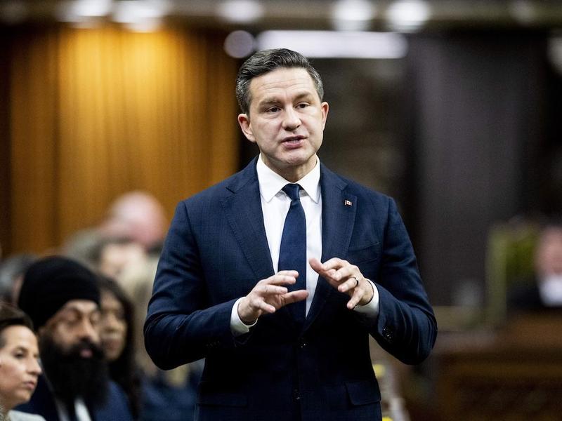 Tasha Kheiriddin: The Conservatives who could replace Pierre Poilievre