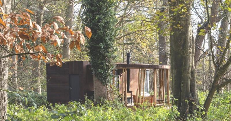 Plans for eco-retreat in grounds of Norfolk stately home