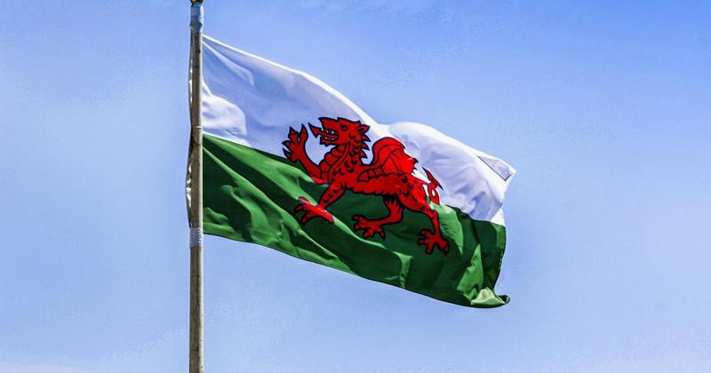 'New' disqualification order for Senedd candidates now in effect