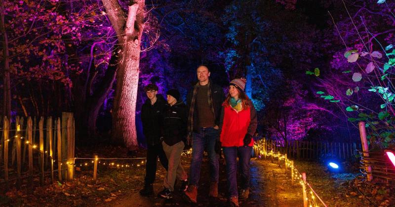 First look as Norfolk attraction launches illuminated Christmas event