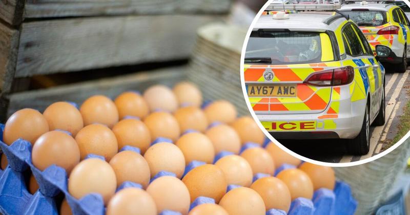 Driver swerves as eggs thrown at car