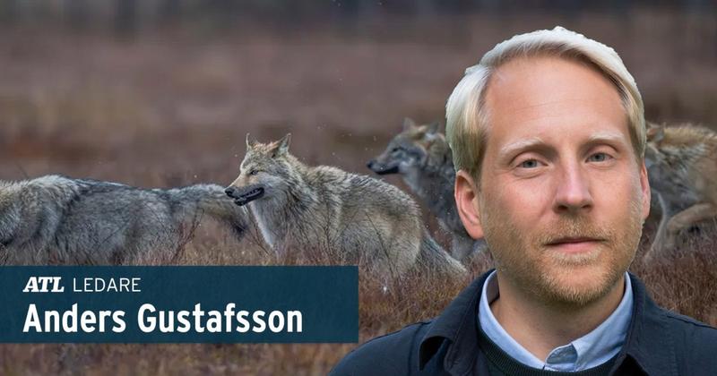 ”Demokratin föll i domstol – påhejat av aktivisterna, med stöd av EU” ”Demokratin föll i domstol – påhejat av aktivisterna, med stöd av EU”