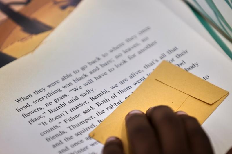 Why Johnny Can't Read