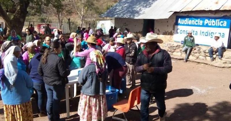 Desplazamiento forzado y derechos en la Sierra de Chihuahua