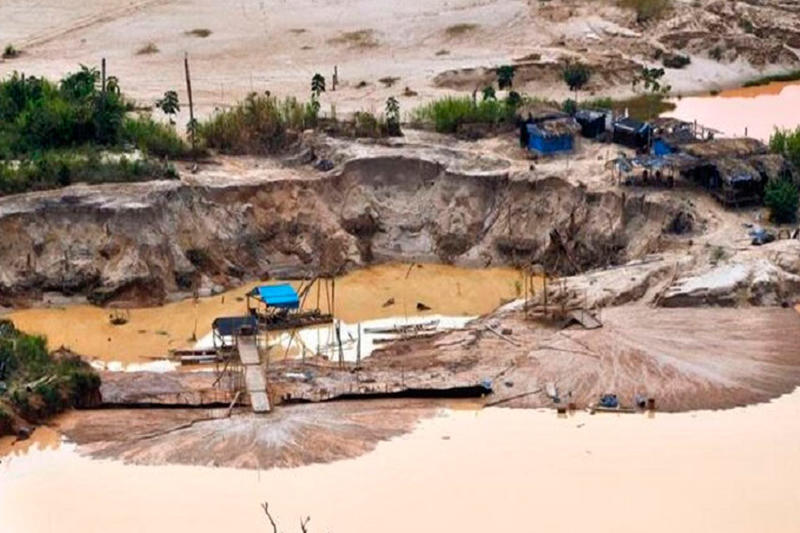 Del oro al escaño: Minería ilegal y Elecciones Peruanas del 2026, por José de la Torre