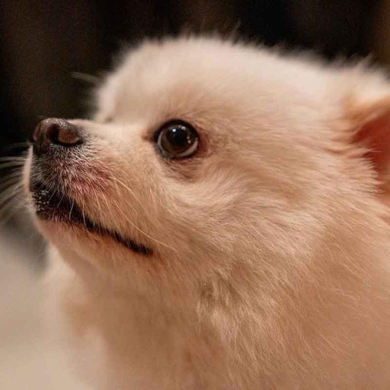 Cenas inusitadas que só acontecem por aqui, em BH