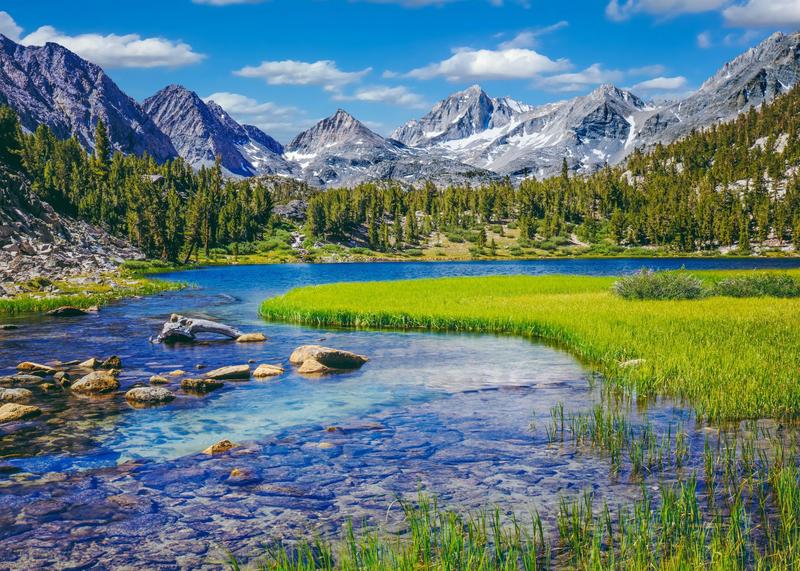 Where the wild things thrive: Finding and protecting nature’s climate change safe havens