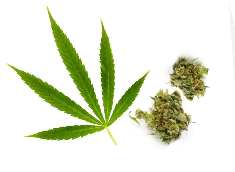 Cannabis im Bundestag: Das Ende der Telemedizin durch die Hintertür