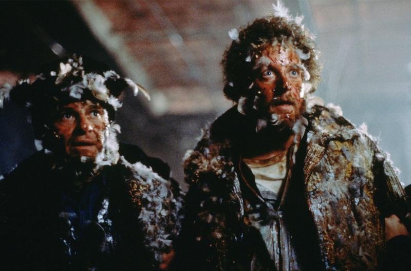 Home Alone’s ‘Wet Bandits’ are medical miracles