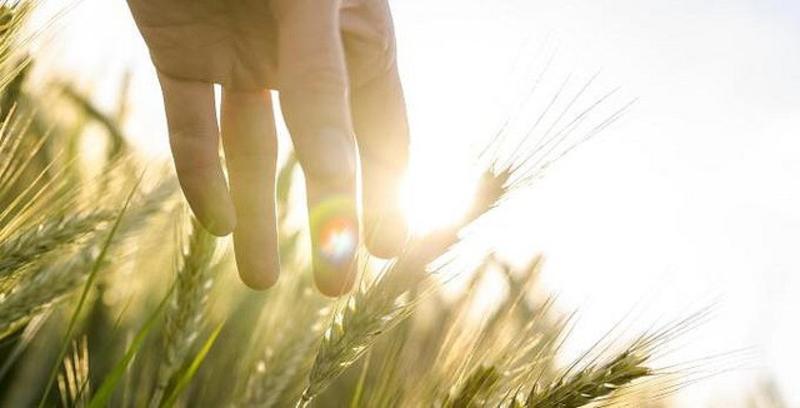 «Tiempo para la reflexión y los buenos deseos»