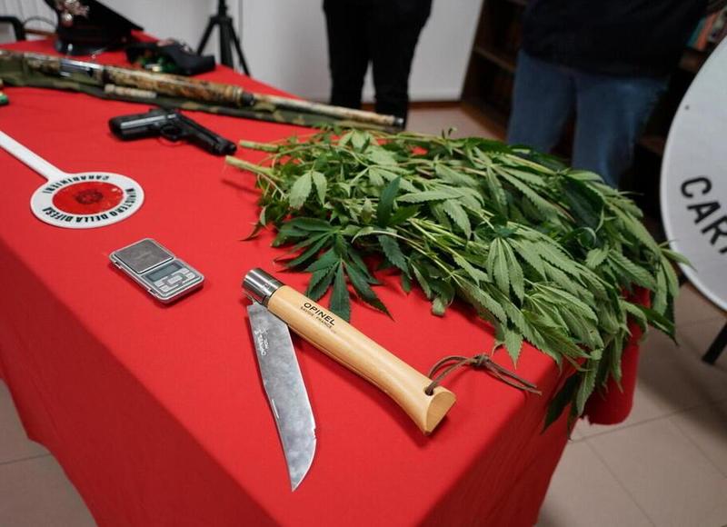 Droga e fucilate a Livorno, il sindaco Salvetti: «Qui chi delinque viene punito»