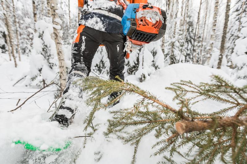 Maanomistus | Tavoittaako metsäala metsänomistajat, joita ei kiinnosta?