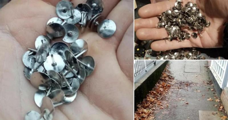 Why are dozens of drawing pins being left along Carrow Road?
