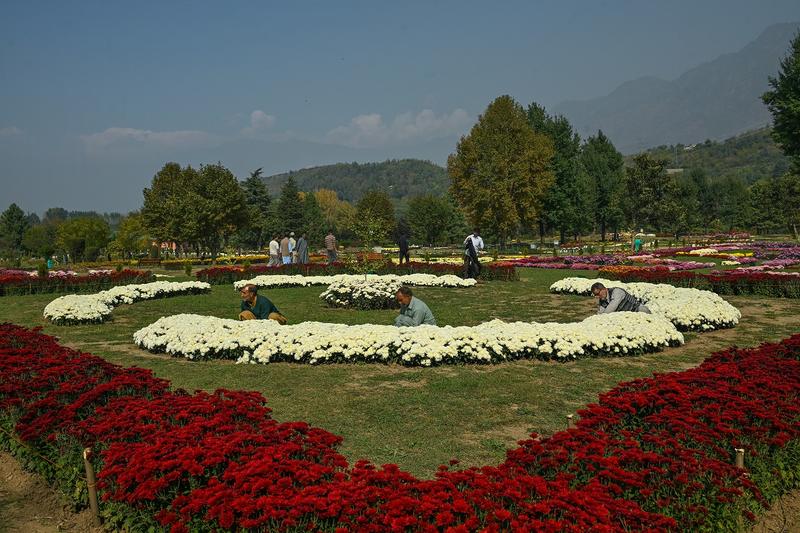 Kashmir’s Bet on Theme Gardens Begins to Pay Off Kashmir’s Bet on Theme Gardens Begins to Pay Off