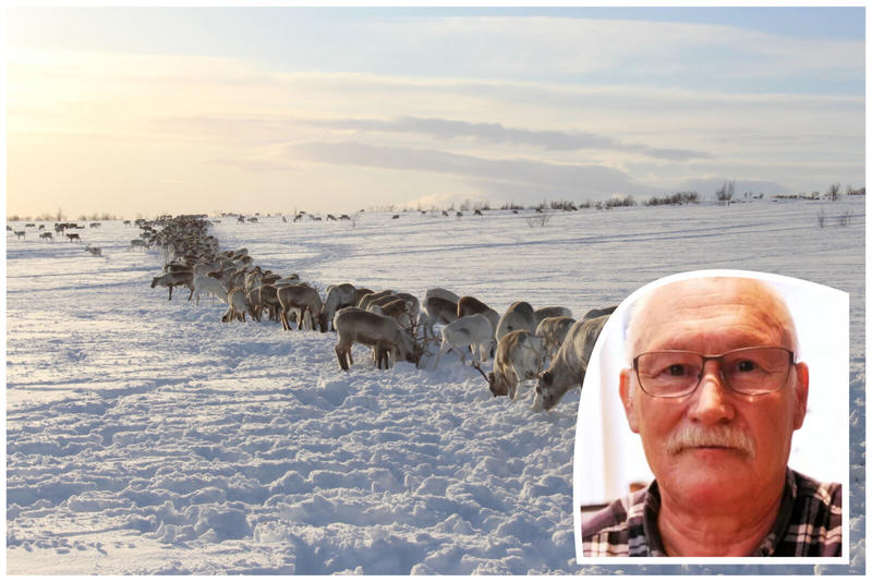 Er den reindriftssamiske reindriften økologisk bærekraftig?
