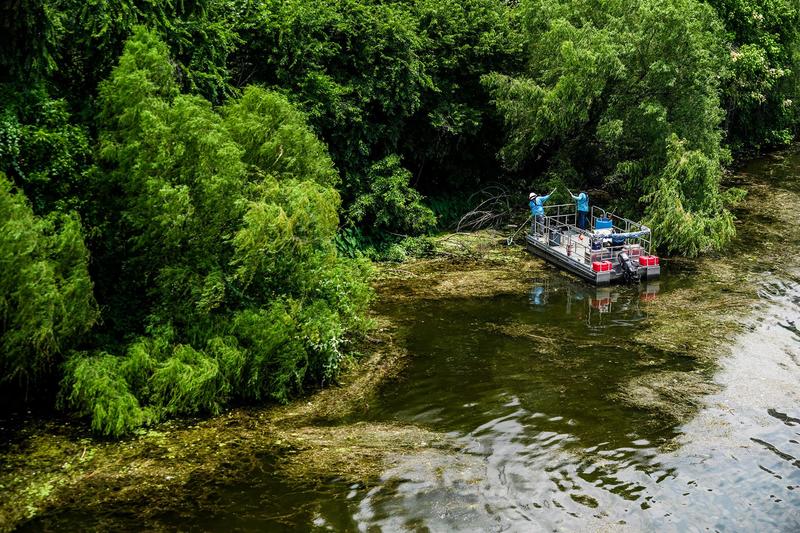 What can Houston do about bodies found in bayous this year? Here are some ideas. What can Houston do about bodies found in bayous this year? Here are some ideas.