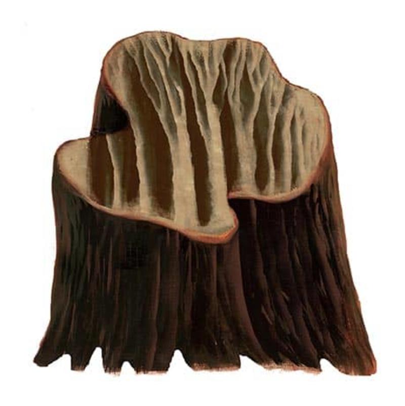 En las lindes de Europa