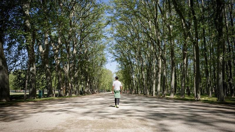 El que Napoleó va fer...