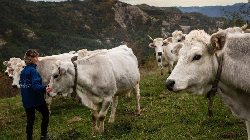 “Da grande voglio fare il pastore”, al via la quarta edizione della scuola