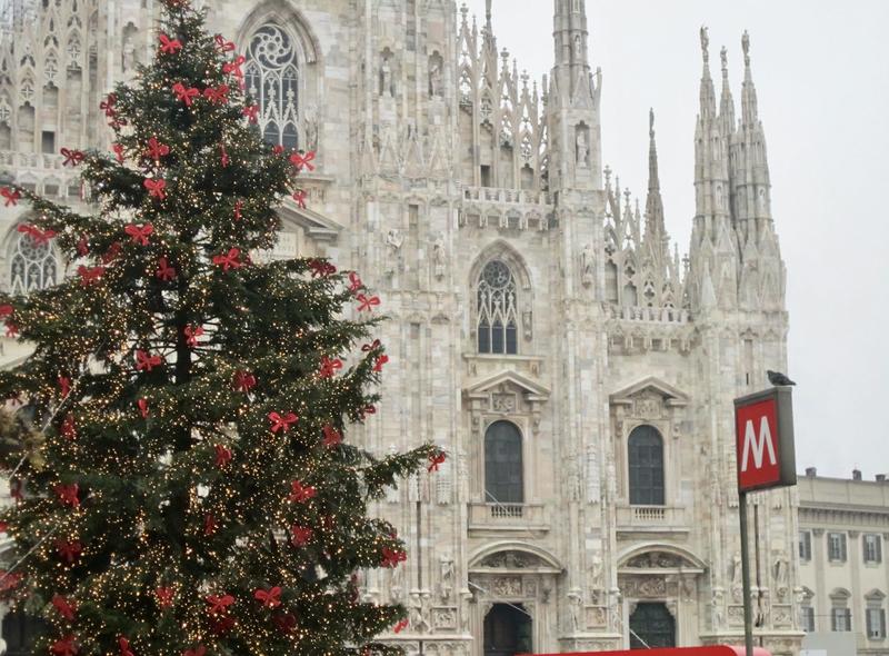 Votre « sapin » de Noël n’est peut-être pas un sapin, voici pourquoi Votre « sapin » de Noël n’est peut-être pas un sapin, voici pourquoi