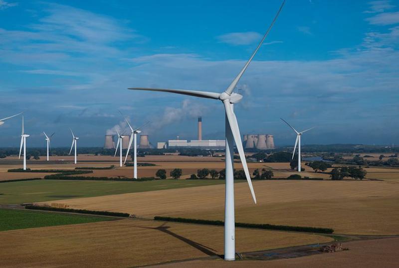 Net zero dogma / Bats are paying the ultimate price for our wind turbine obsession Net zero dogma / Bats are paying the ultimate price for our wind turbine obsession