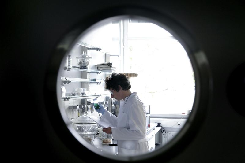 ‘This year nearly broke me as a scientist’ – US researchers reflect on how 2025’s science cuts have changed their lives