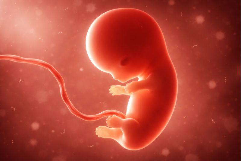 Um diálogo desconcertante e seu desfecho repugnante