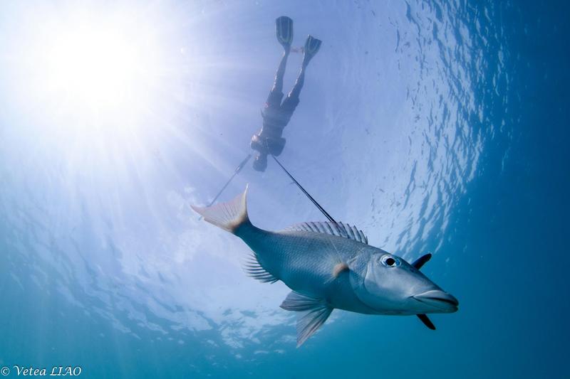 En Polynésie, on croise savoirs locaux et science pour mieux gérer les lagons