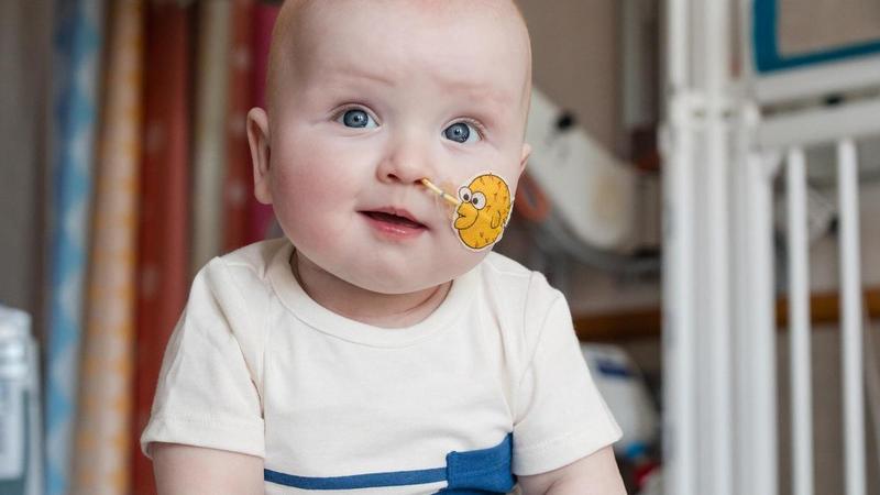 La revolución de las renovables y las terapias de edición genética para tratar enfermedades incurables, los grandes avances científicos del 2025