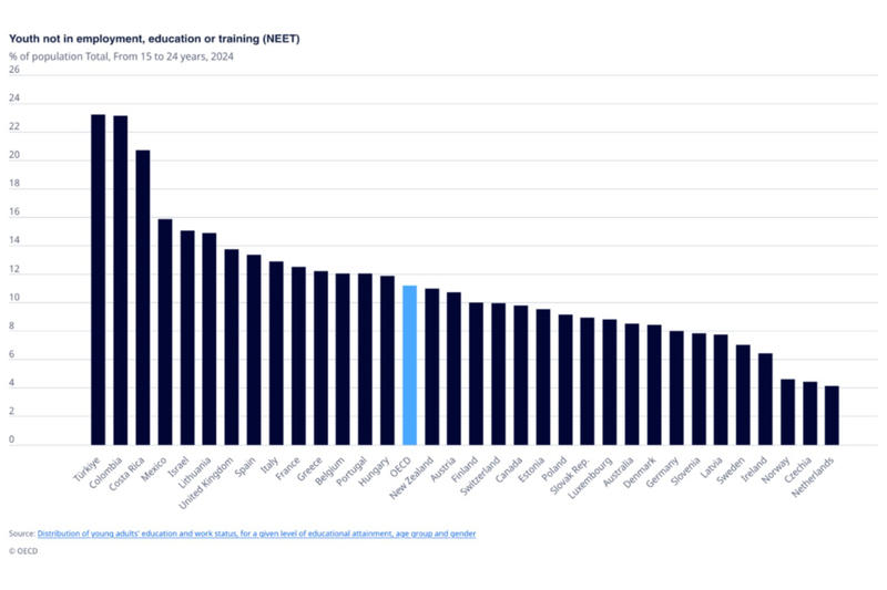 Türkiye’nin göreli artık nüfusu ve mesleki eğitim işsizliği: Ne eğitimde ne istihdamda olan 2,9 milyon genç Türkiye’nin göreli artık nüfusu ve mesleki eğitim işsizliği: Ne eğitimde ne istihdamda olan 2,9 milyon genç