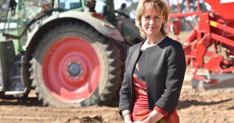 ‘Bewildered and frightened’ farm sector needs new deal from government, says review ‘Bewildered and frightened’ farm sector needs new deal from government, says review