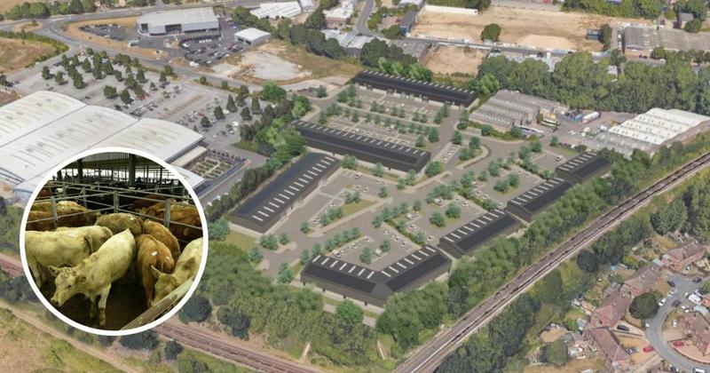 Plans emerge to redevelop livestock market into a business estate Plans emerge to redevelop livestock market into a business estate