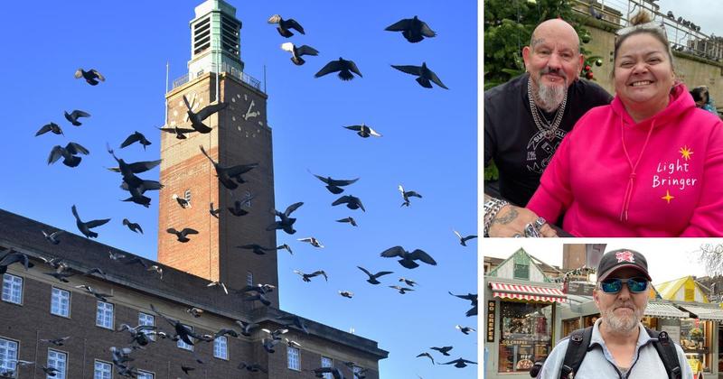 City folk speak out against the 'flying rats' plaguing the market
