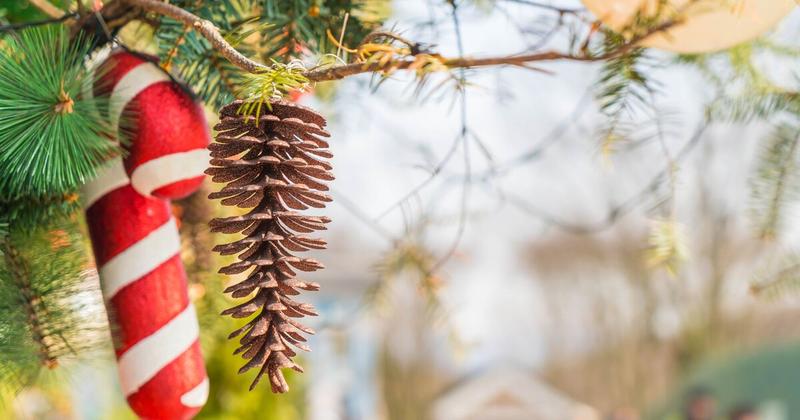 Δράση ανθρωπιάς από το Αϊκίντο Ηρακλείου Δράση ανθρωπιάς από το Αϊκίντο Ηρακλείου