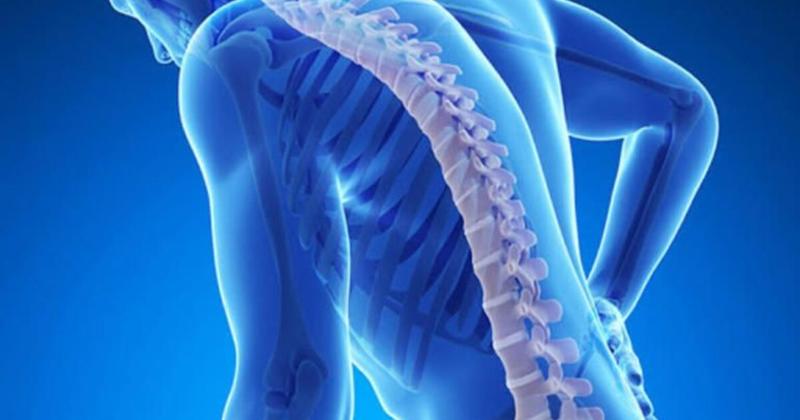 Οστεοπόρωση: Μία “σιωπηλή” επιδημία που επηρεάζει την ποιότητα ζωής Οστεοπόρωση: Μία “σιωπηλή” επιδημία που επηρεάζει την ποιότητα ζωής