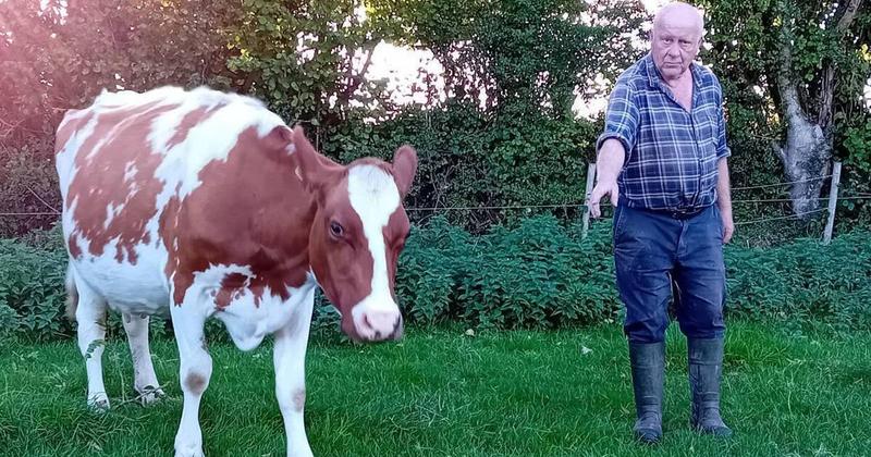 John Arnold: A year of ups and downs... in life, in sports, and on my farm John Arnold: A year of ups and downs... in life, in sports, and on my farm