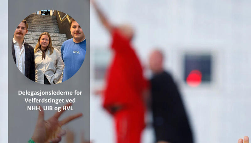 Skal vi diskutere Hallaien, må vi gjøre det skikkelig