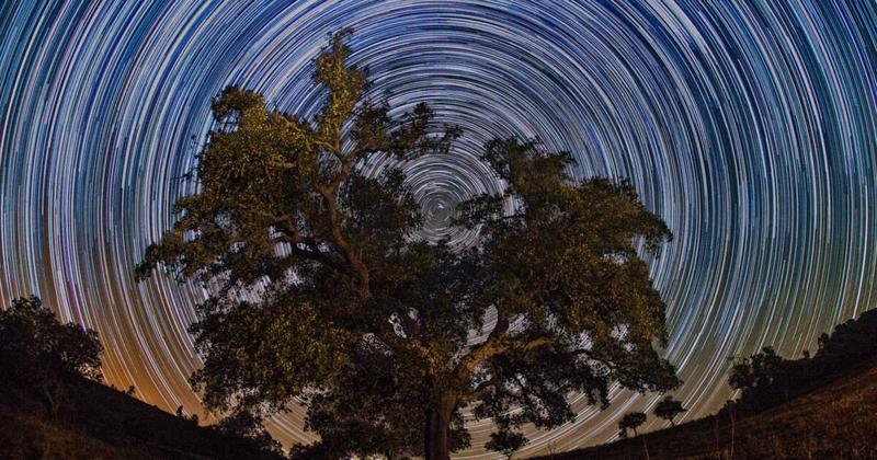 Horóscopo: saiba o que esperar para o seu signo nesta sexta-feira, dia 19