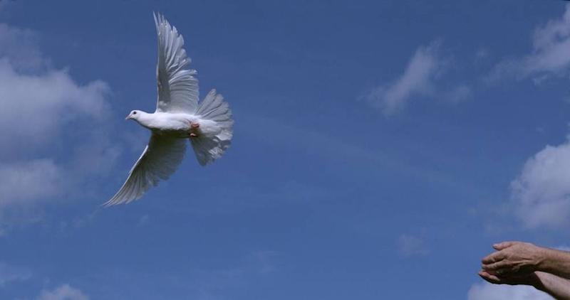 Was der Nahostkonflikt über Wahrheit verrät – und warum Deutschlands Debatte daran scheitert