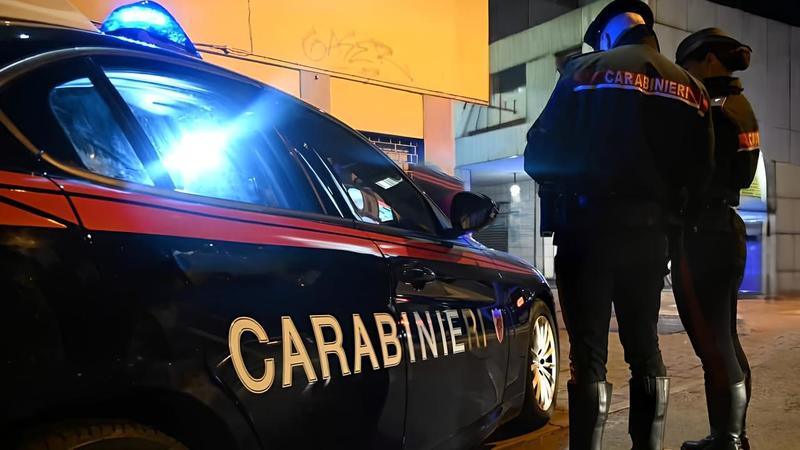 Cani picchiati e razzia di gioielli, raffica di furti in un solo giorno