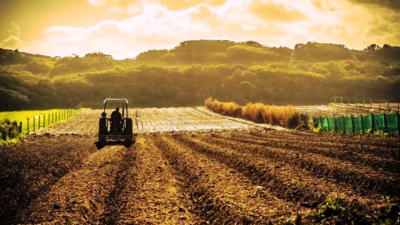 Αυτό που ίσως δεν μάθουμε ποτέ