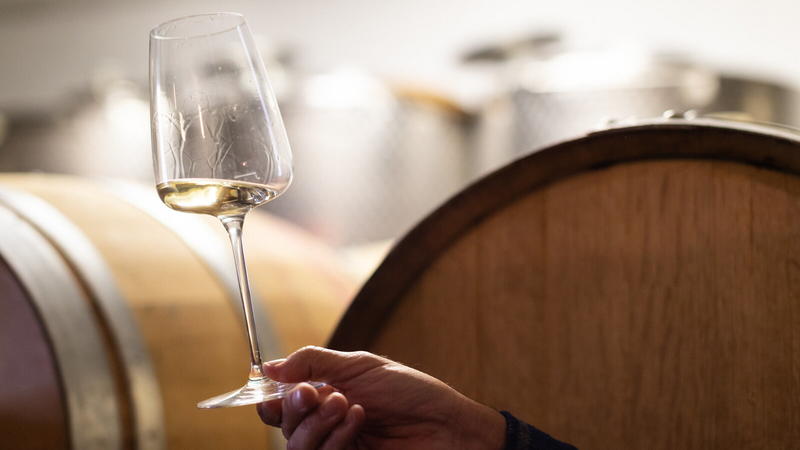 Trilogia del bevitore naturale/Episodio 3: L’Apostolo del Reel e i Compagni del Calice Liberato