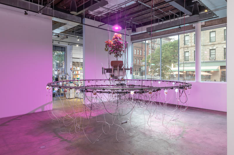 Don’t Miss: Bagus Pandega’s Living Laboratory of Extraction