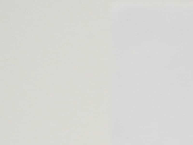 Le carnage politique de 2025