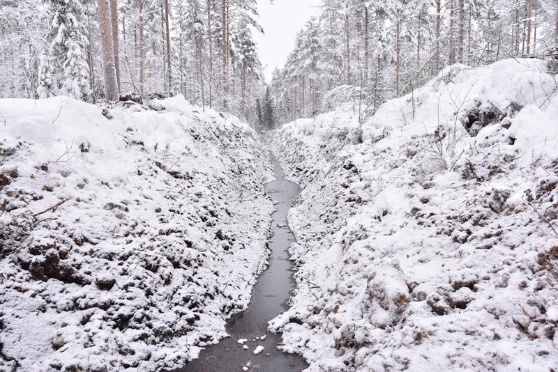 Ympäristö | Lukijalta: Metsien ojitusilmoituksista tulisi tehdä pakollisia – luvanvaraisuus liian järeä keino