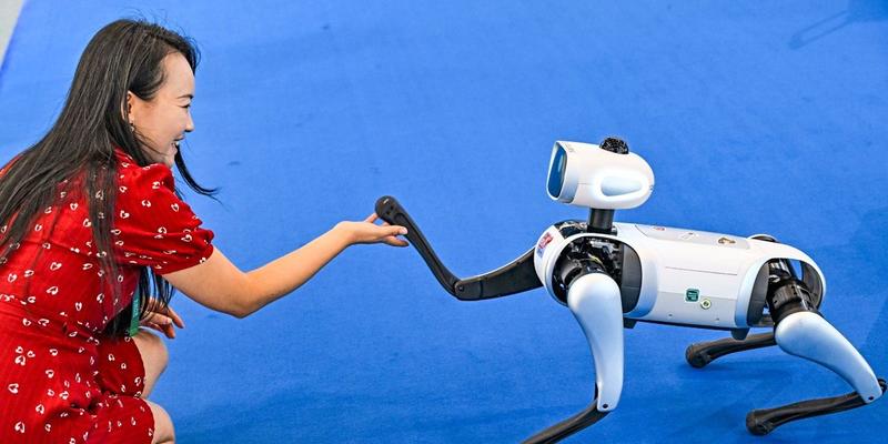 Österreichs Herausforderung sind nicht Bürokratie und Lohnkosten, sondern China