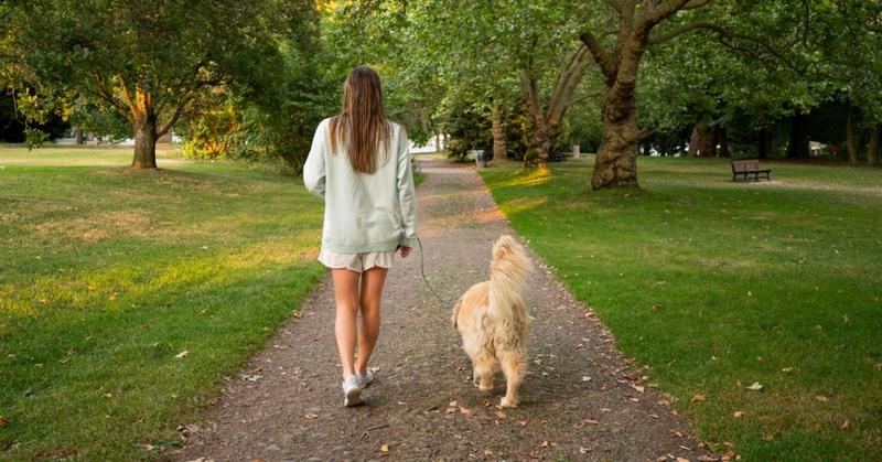 How to Reboot Your Pleasure Brain