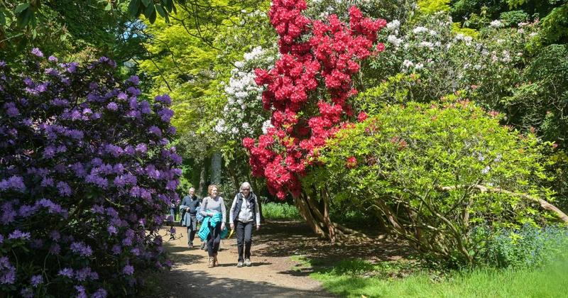 National Trust reveals raft of upgrades for Norfolk beauty spot